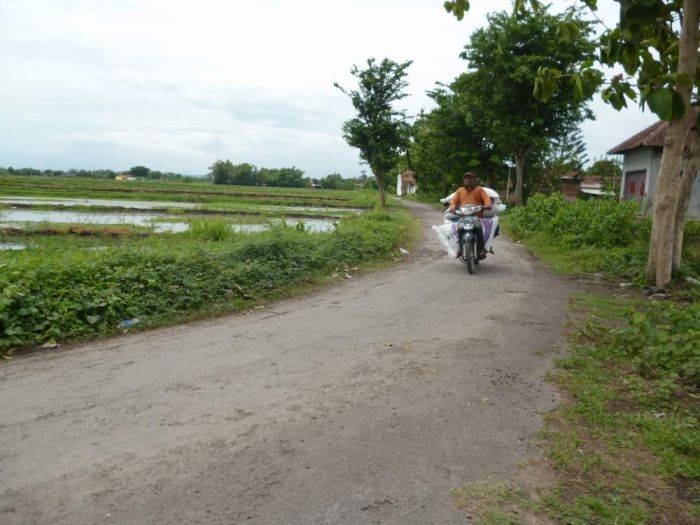 Jalan Desa Sentul Menuju Tambak Rusak Parah