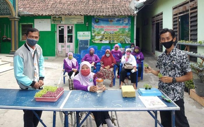 Difabel Perempuan Berkebun Hidroponik, Upaya Mandiri Warga Kota Kediri Bangkit dari Pandemi