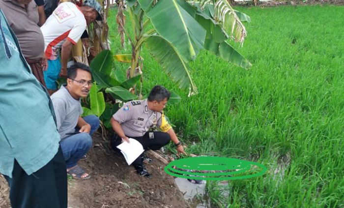 Sehari, 2 Warga Dukun Tewas Tersengat Jebakan Tikus