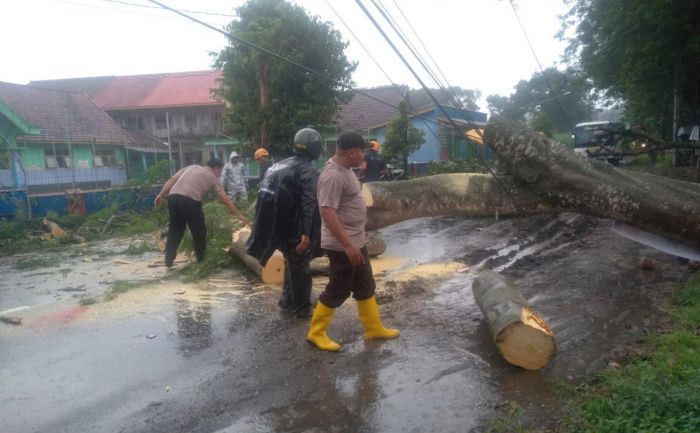 Boncengan dengan Anak, Ibu 35 Tahun di Kediri Tewas Tertimpa Pohon Tumbang