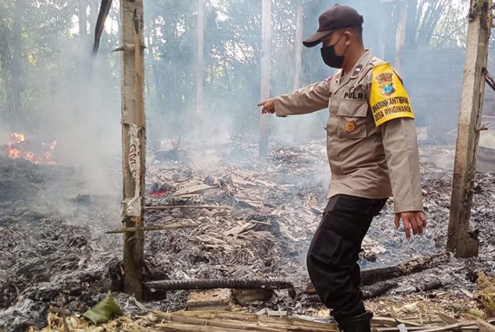 Kandang Ayam di Blitar Terbakar, Belasan Ribu Ayam Terpanggang, Pemilik Rugi Ratusan Juta