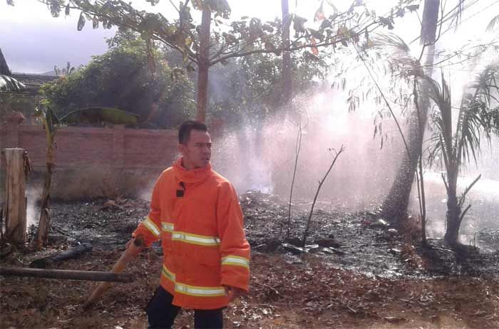 Gara-gara Bakar Daun Pisang Kering, Sebidang Lahan Pekarangan di Pacitan Nyaris jadi Abu