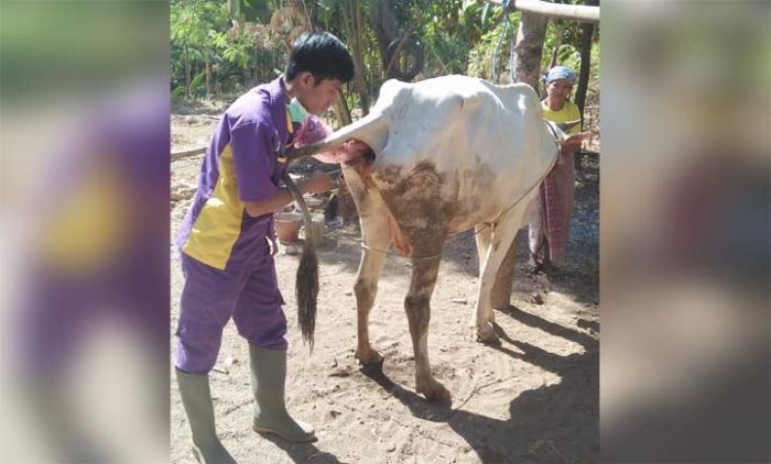 Pasuruan Jadi Tempat Magang IB Nasional