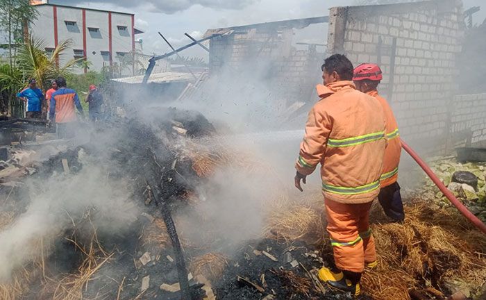 Sebuah Kandang di Tuban Terbakar, Puluhan Ton Jerami Hangus