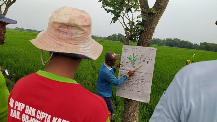 Dorong Petani Mandiri, EMCL Adakan Program Sekolah Lapang Pertanian