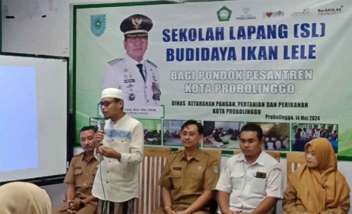 Belasan Pondok Pesantren di Kota Probolinggo Terapkan Sekolah Lapang Budidaya Lele