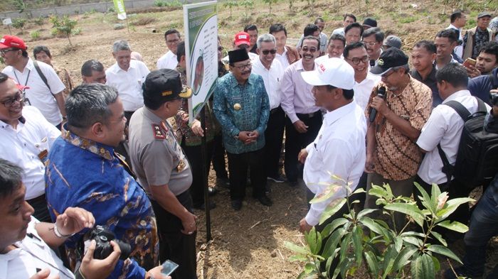 Tinjau TTP Plus, Mentan RI Amran Sulaiman Beri Motivasi Petani Jatim