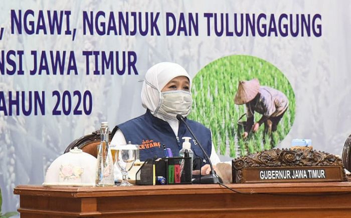 Gubernur Khofifah Minta Kabupaten se-Jatim Bersiap Hadapi Waktu Tanam di Tengah Musim Kemarau