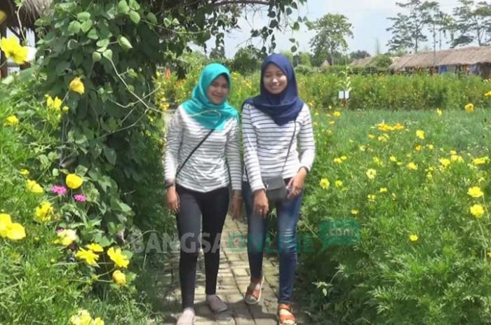 Ada Wisata Tanaman di Desa Banjarsari Jombang, Cocok untuk Hunting Foto