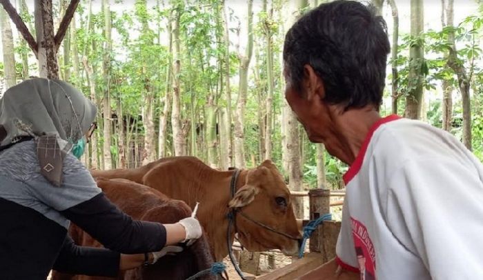 Antisipasi Wabah Antraks, Pemkab Blitar Terbitkan Surat Edaran