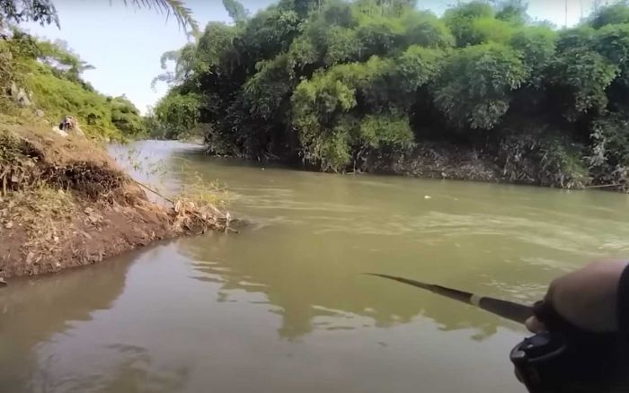 Teknik Mancing di Sungai Gunakan Tempe dan Bawang Putih Ala Youtuber Rendy Jember, Dijamin Mantab!