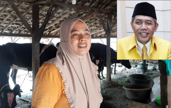 Produksi Susu Berkurang Drastis, Peternak Cantik di Pasuruan ini Berharap Ada Solusi Atasi Wabah PMK