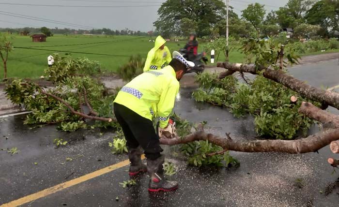 Gerak Cepat Satlantas Polres Ngawi Evakuasi Pohon Tumbang Usai Hujan Angin