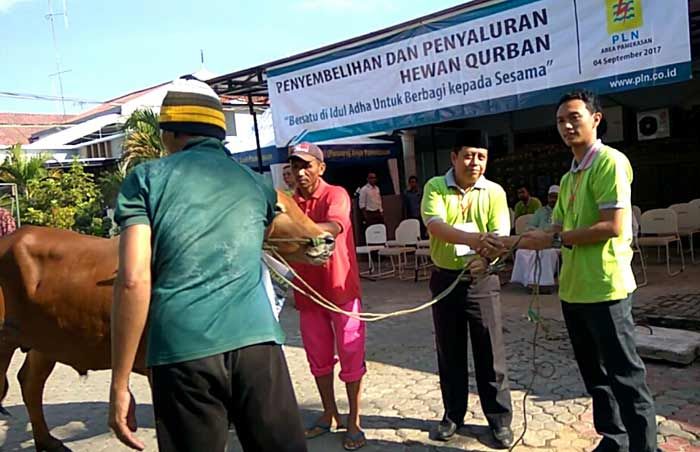 Sembelih 8 Sapi dan 5 Kambing, PLN Area Pamekasan Berbagi Daging Korban 