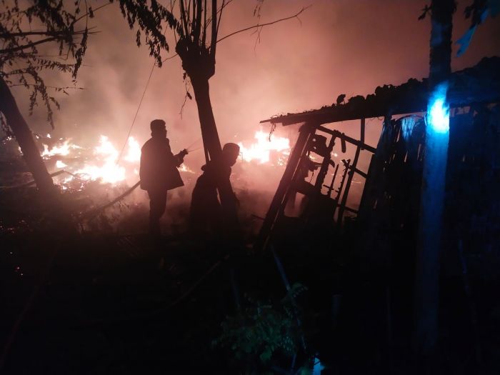 Kandang Peternakan Sapi dan Kambing di Benjeng Gresik Terbakar Hebat Tengah Malam