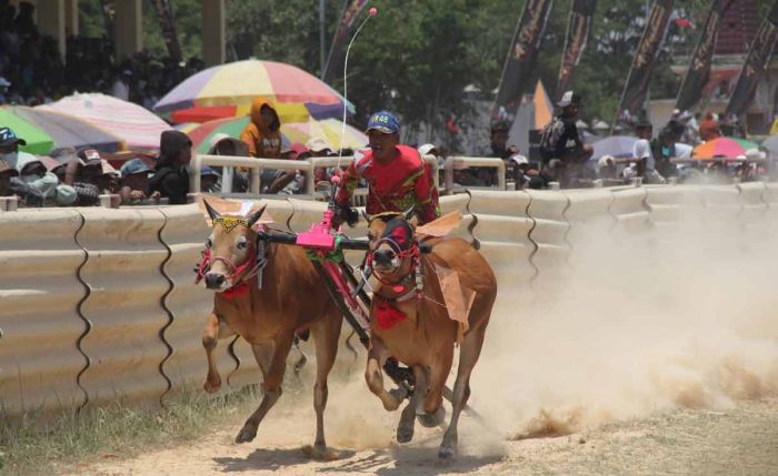 Lestarikan Budaya, Pj Bupati Bangkalan Bangga Tonton Karapan Sapi