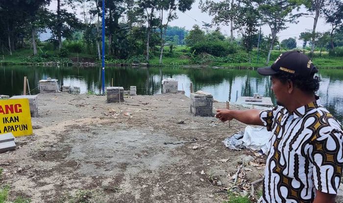 Pohon Miri di Pulau Kecil Sumber Complang Ditebang Demi Pengembangan Wisata