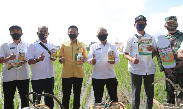 Petrokimia Gresik Gelar Penyemprotan Massal Phonska Oca di Banyuwangi