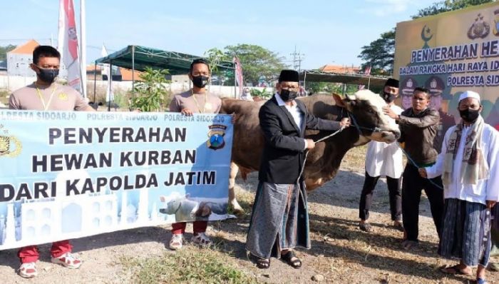 ​Kapolresta Sidoarjo Salurkan Hewan Kurban