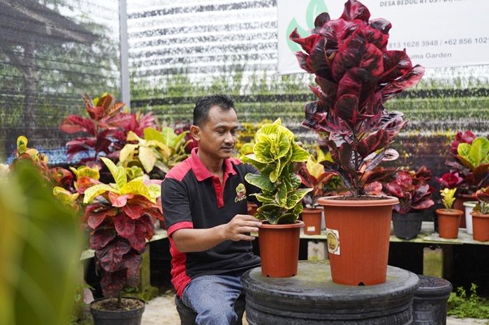 Difasilitasi Bupati Kediri, Pasar Puring Makin Berkembang hingga Mampu Saingi Varietas Thailand