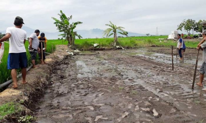 Endus Dugaan Pengembang Bodong di Kepuhanyar, Satpol PP Tak Segan Nutup Jika Tak Ada Izin