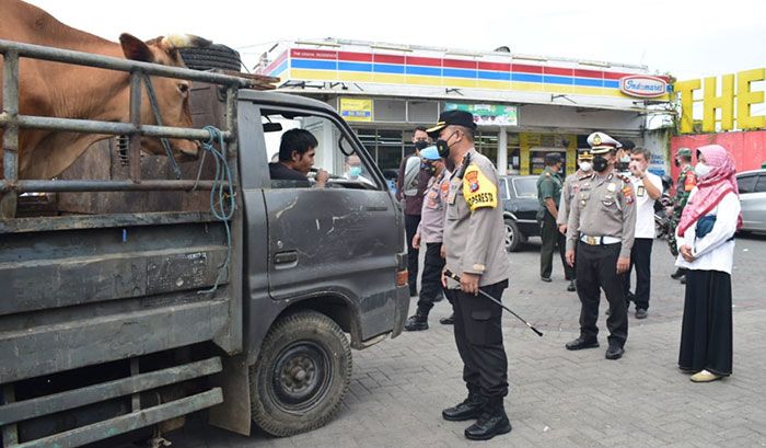 Antisipasi PMK di Kota Delta, Polresta Sidoarjo Batasi Lalu Lintas Ternak ke Luar Kota