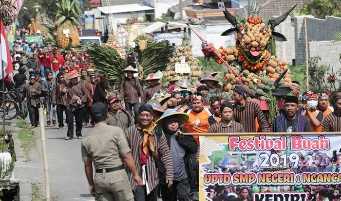 Ribuan Warga Porak Gunugan Nanas di Lereng Kelud