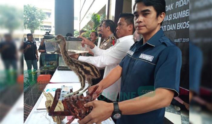 Polda Jatim Gagalkan Penyelundupan Satwa Langka, Ada Negara yang Berani Bayar Hingga Triliunan