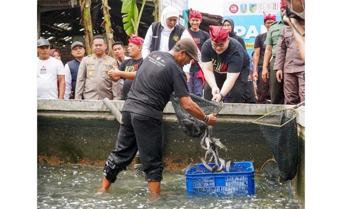 Bersama Bupati Dhito, Gubernur Khofifah Dorong Penguatan Produksi Lele