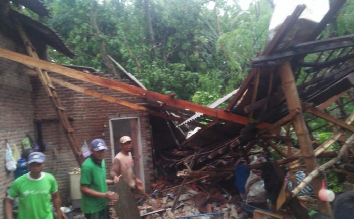 Pohon Tumbang Timpa Rumah Warga Desa Krenceng Kediri, Satu Orang Tewas