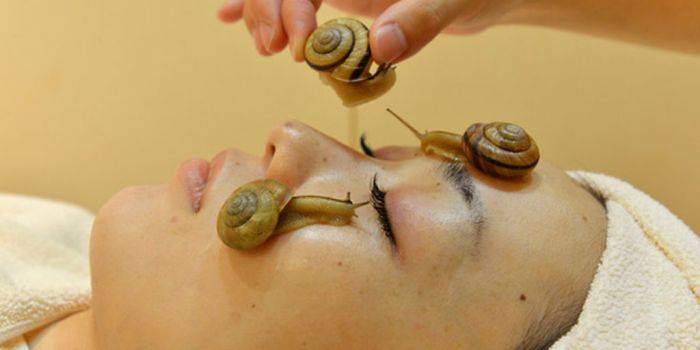 Bosan Facial Biasa? Coba Facial Gunakan Siput, Ampuh Lepas Sel Kulit Mati