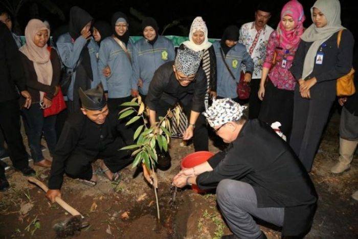 Bupati Banyuwangi Bagikan  1000 Bibit Durian Merah