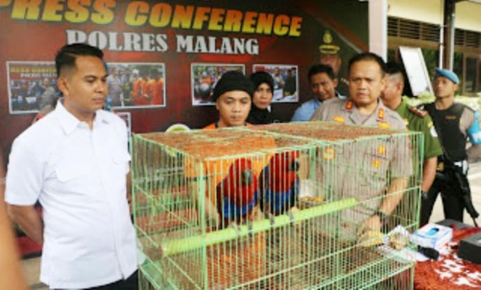 Jual Burung Langka Lewat FB, Pria ini Diringkus Polisi