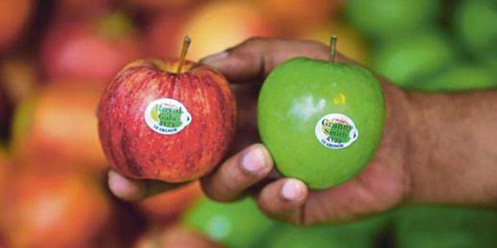 Peredaran Apel Berbakteri Berlabel Granny Smith Masuk Nganjuk