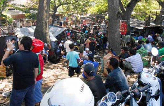 Pasar Burung Porong Sidoarjo Perlu Penataan