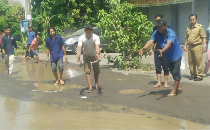 Klimaks, Warga Bohar Sidoarjo Tebar Ikan Lele di Kubangan Jalan Rusak​