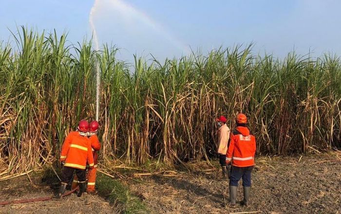 Puncak Musim Kemarau, Pemkot Kediri Antisipasi Kebakaran Lahan