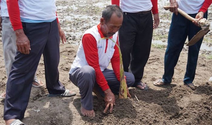 Harapan Warga Sekitar di HUT ke-47 Petrokimia Gresik