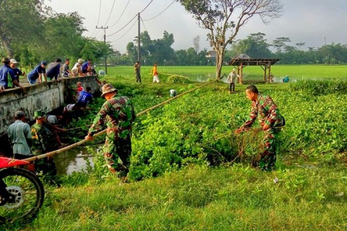 Enceng Gondok Sungai Nglujon Dibersihkan