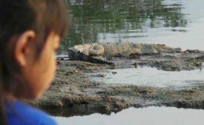 Ngabuburit Sambil Lihat Buaya Kali Porong