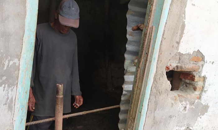 Jebol Tembok Kandang, Kawanan Maling di Probolinggo Curi Seekor Sapi Seharga Rp 20 Juta