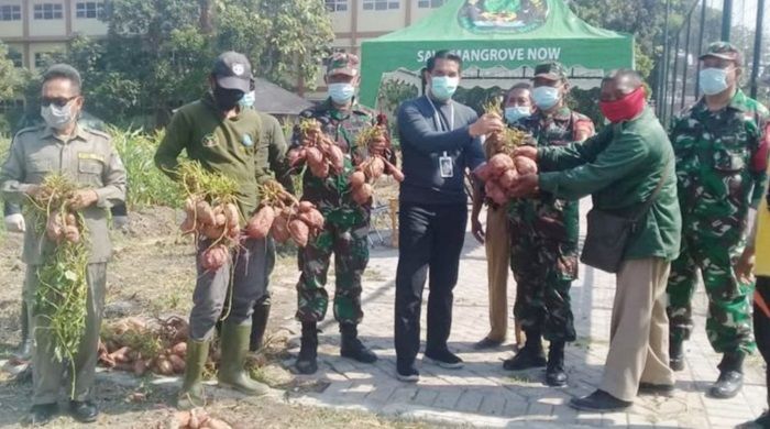 18 Lahan BTKD Kini Dikelola Warga untuk Ketahanan Pangan