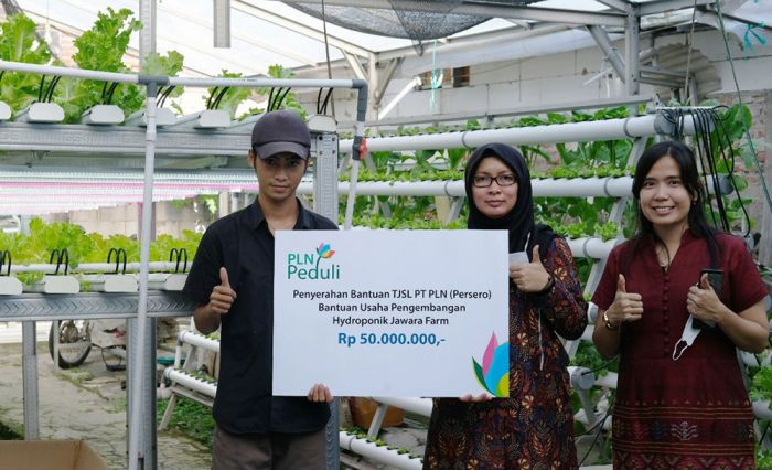 Galakkan Electrifying Agriculture, PLN Kembali Bantu UKM Jawara Farm