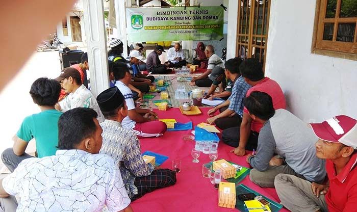 Tingkatkan Pengetahuan Peternak, Pemkab Pasuruan Gelar Bimtek Ternak Kambing Modern