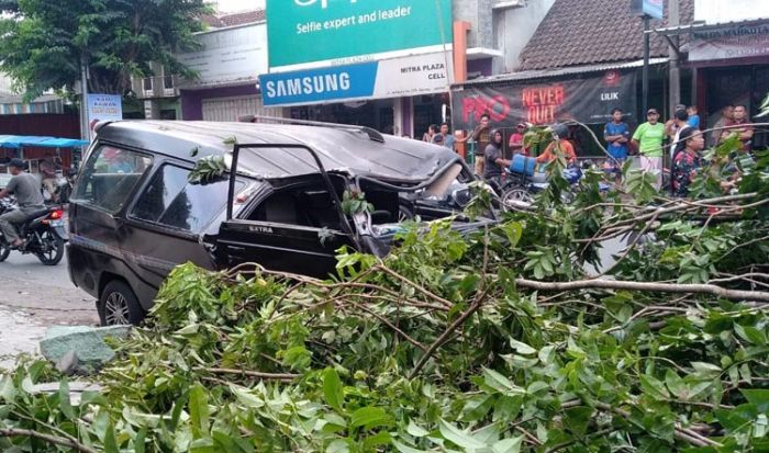 Satu Keluarga Asal Probolinggo Tertimpa Pohon di Jember