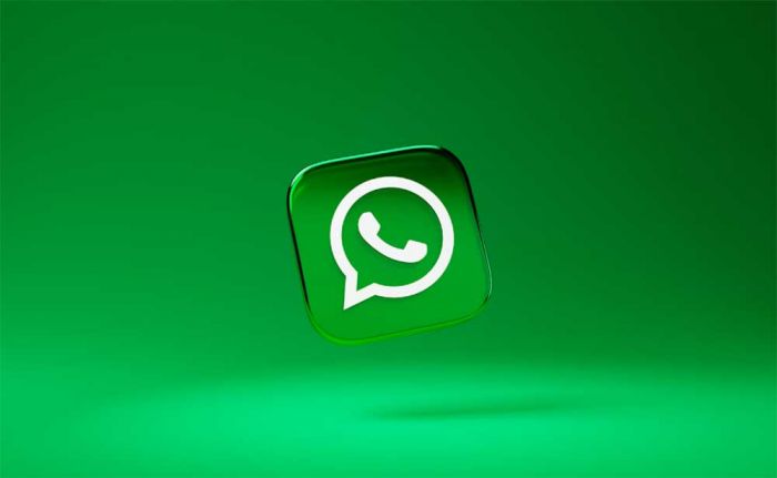 Apa Itu WhatsApp Bot? Berikut Penjelasan dan Perbedaannya