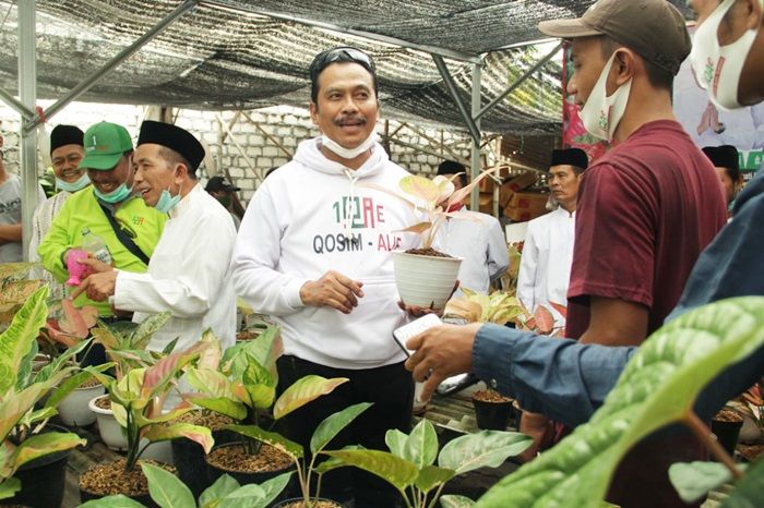 Qosim-Alif Janji Jadikan Gresik Sentra Adenium dan Aglaonema di Indonesia