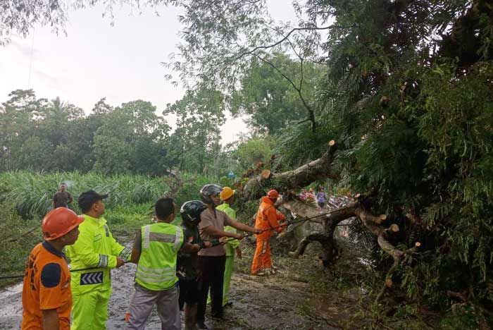 Puting Beliung Landa Blitar, Tewaskan Satu Warga