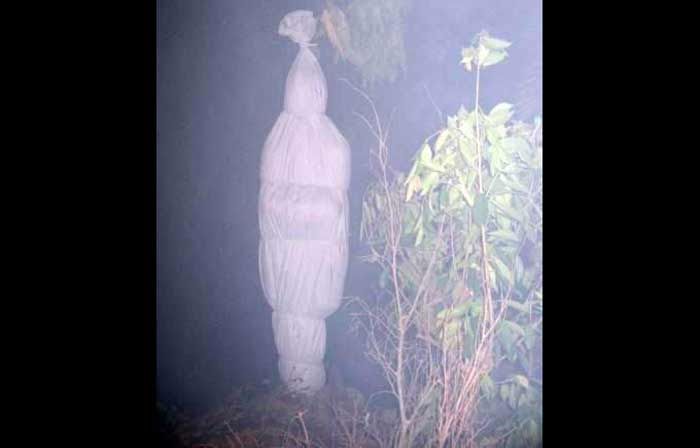 Warga Dusun Padi Barong Pacitan Digegerkan Hantu Pocong