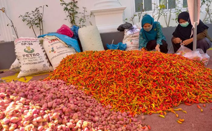 Bantu Petani, TP-PPK Sumenep Borong Cabai dan Bawang Merah